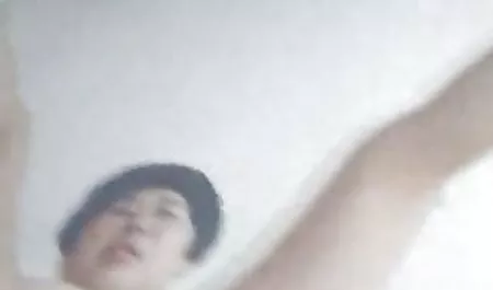 奶油色的猫女朋友呻吟